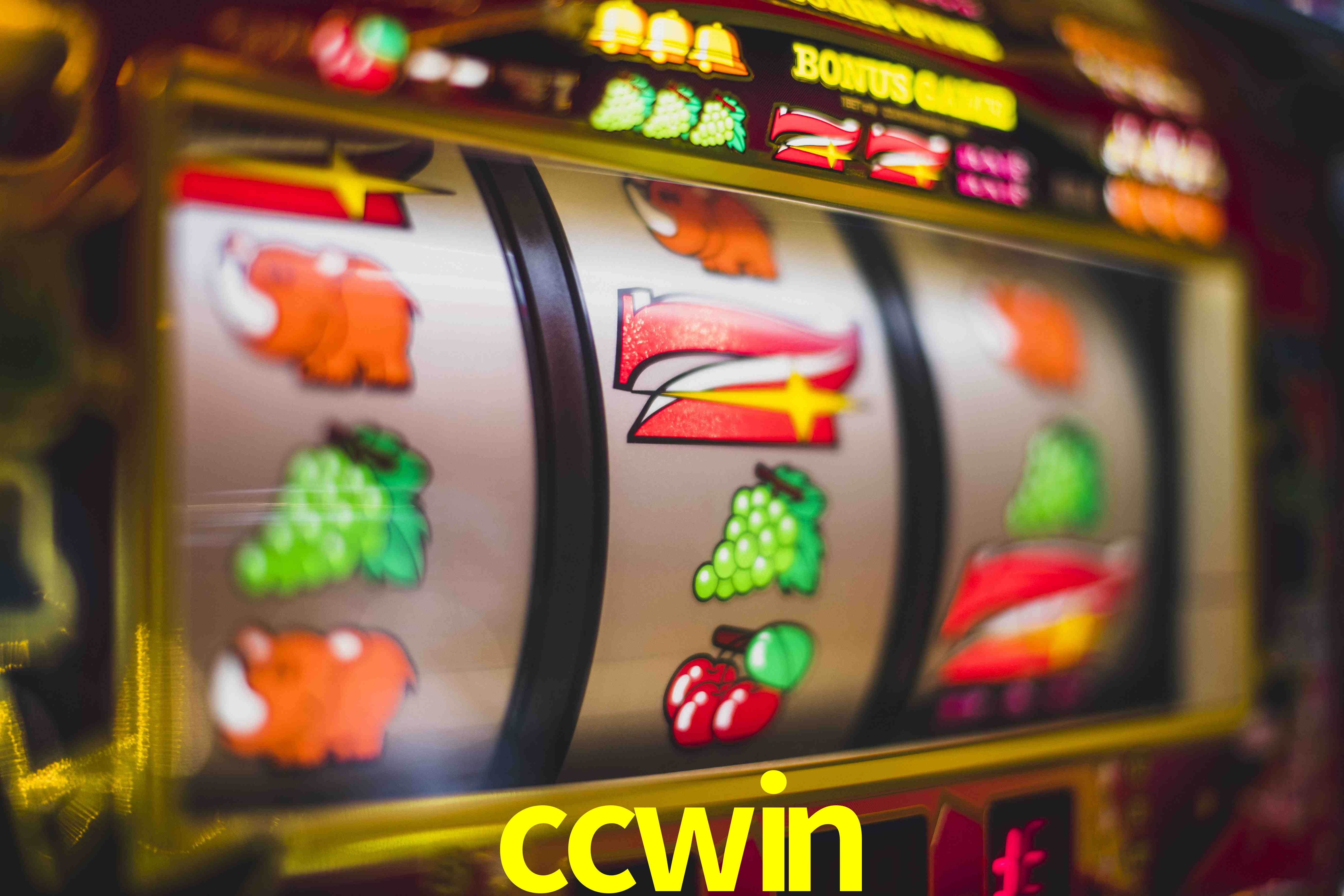 Live Casino ccwin