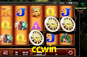 Explorando a Categoria de Eventos em Apostas na ccwin